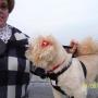 Janice Meyer Photo 22