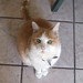 Sherrie Stanley Photo 31