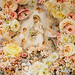 Cynthia Borders Photo 12