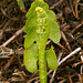 Donald Timms Photo 22