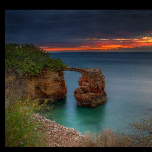 Juanita Montalvo Photo 2