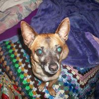 Elizabeth Wurst Photo 11