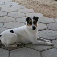 Harry Hubbard Photo 24