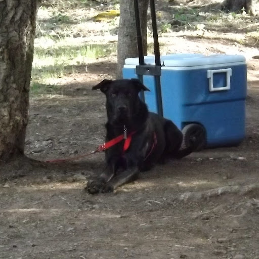 Deborah Wright Photo 11 Deborah Wright Photo 11