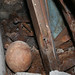 Deanna Lewis Photo 11