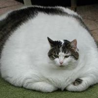 Matthew Walker Photo 29 Matthew Walker Photo 29