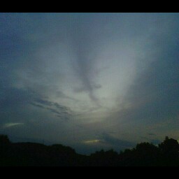 Carol Woodruff Photo 40