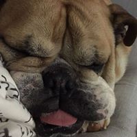 Tracey Clarke Photo 12