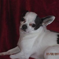 Deborah Rosenbaum Photo 11