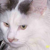 Patricia Wilmoth Photo 3