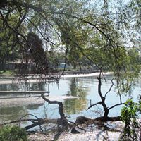 Terry Cantwell Photo 14