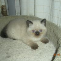 Janet Roy Photo 9