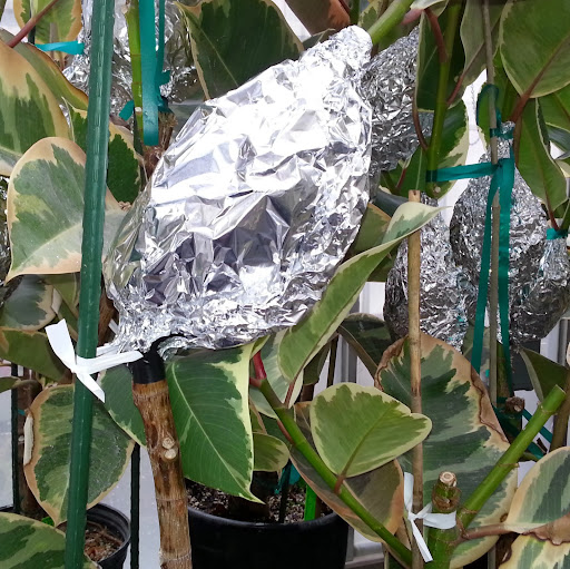 Brian Randall Photo 30