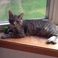 Cheryl Welsh Photo 18