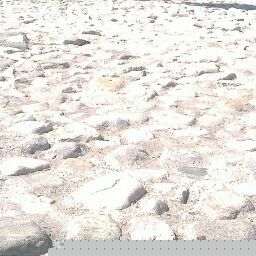 Jeffery Morgan Photo 35