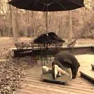 Thomas Tracy Photo 13