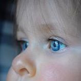 Joseph Bianco Photo 22