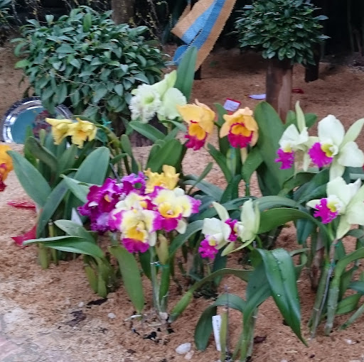 Emilio Morales Photo 42 Emilio Morales Photo 42