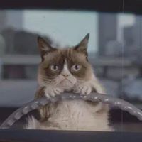 Tracey Gray Photo 20