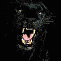 Christopher Carvalho Photo 32