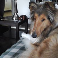 Jacqueline Lawrence Photo 18