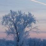 Mary Henrickson Photo 10