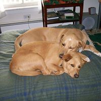 Judith Peters Photo 16