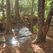 Cypress Phipps Photo 8