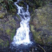 Susan Rigby Photo 7