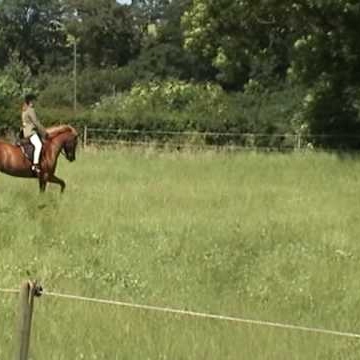 Paula Gallagher Photo 48 Paula Gallagher Photo 48