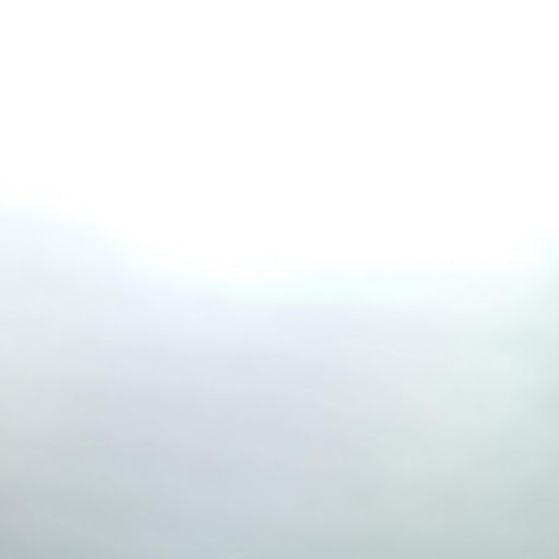 Regina Jenkins Photo 19