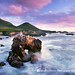 Edward Mendes Photo 15