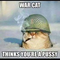 Jay Robbins Photo 23