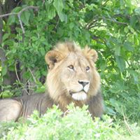 Cathy Sturm Photo 15