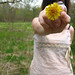 Ashlie Flowers Photo 10