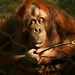Eloise Olds Photo 8