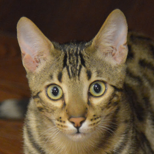 Catherine Macpherson Photo 6