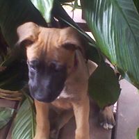 Traci Bryant Photo 42