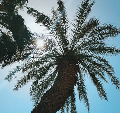 Laura Kirkpatrick Photo 35