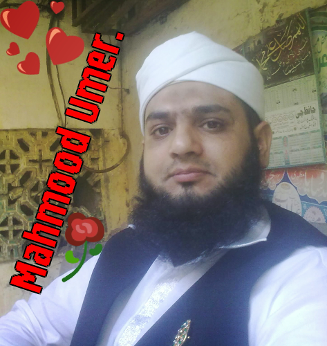 Mahmood Ahmad Photo 12