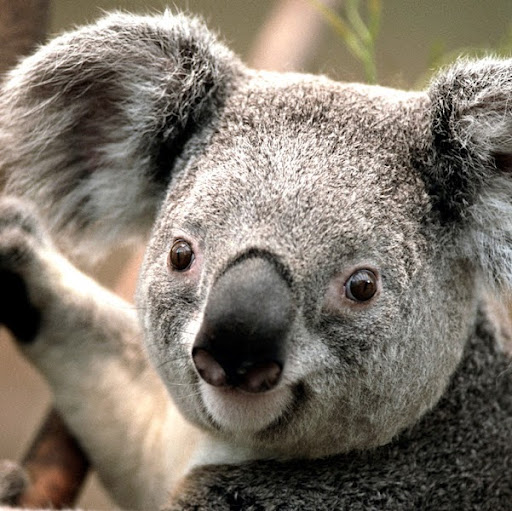 Shirley Richardson Photo 21