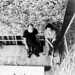 Lee Pollock Photo 9
