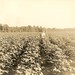 James Bibbs Photo 28
