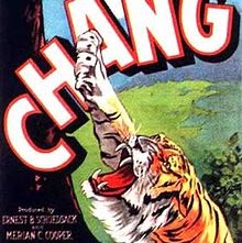 Chang Zhang Photo 17