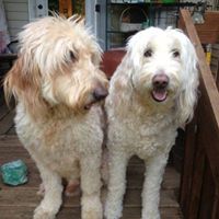 Cindy Craddock Photo 25