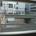 Sandra Weiner Photo 26