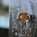 Paul Ramirez Photo 9