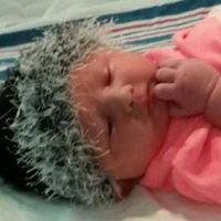 Bradford Hobbs Photo 10