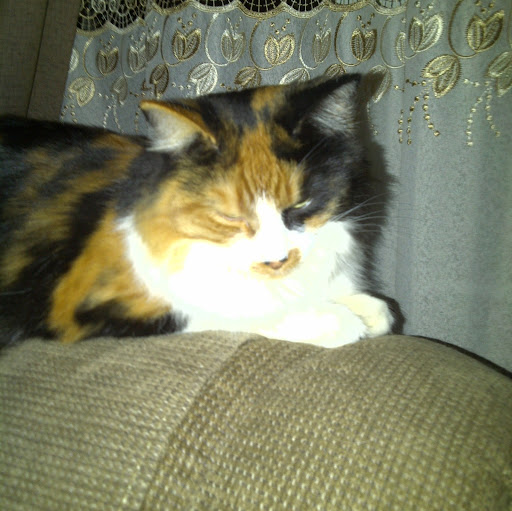 Jacques Hebert Photo 12