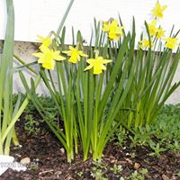 Staci Steiner Photo 3